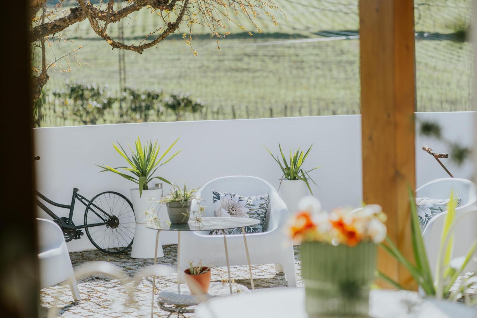 Casa Relogio De Sol Villa Lamego Dış mekan fotoğraf